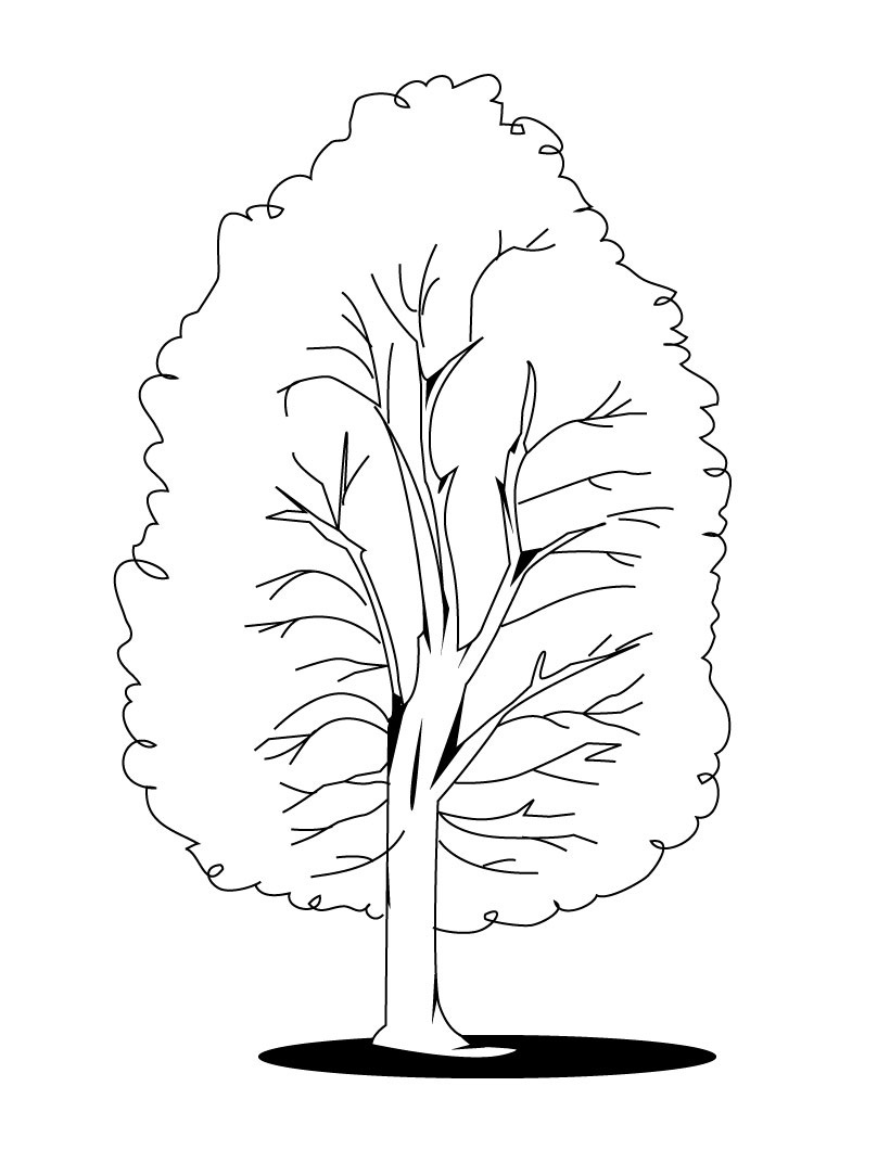 160 Tree Coloring Pages: Explore Nature's Palette 36