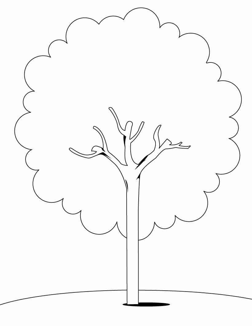 160 Tree Coloring Pages: Explore Nature's Palette 37