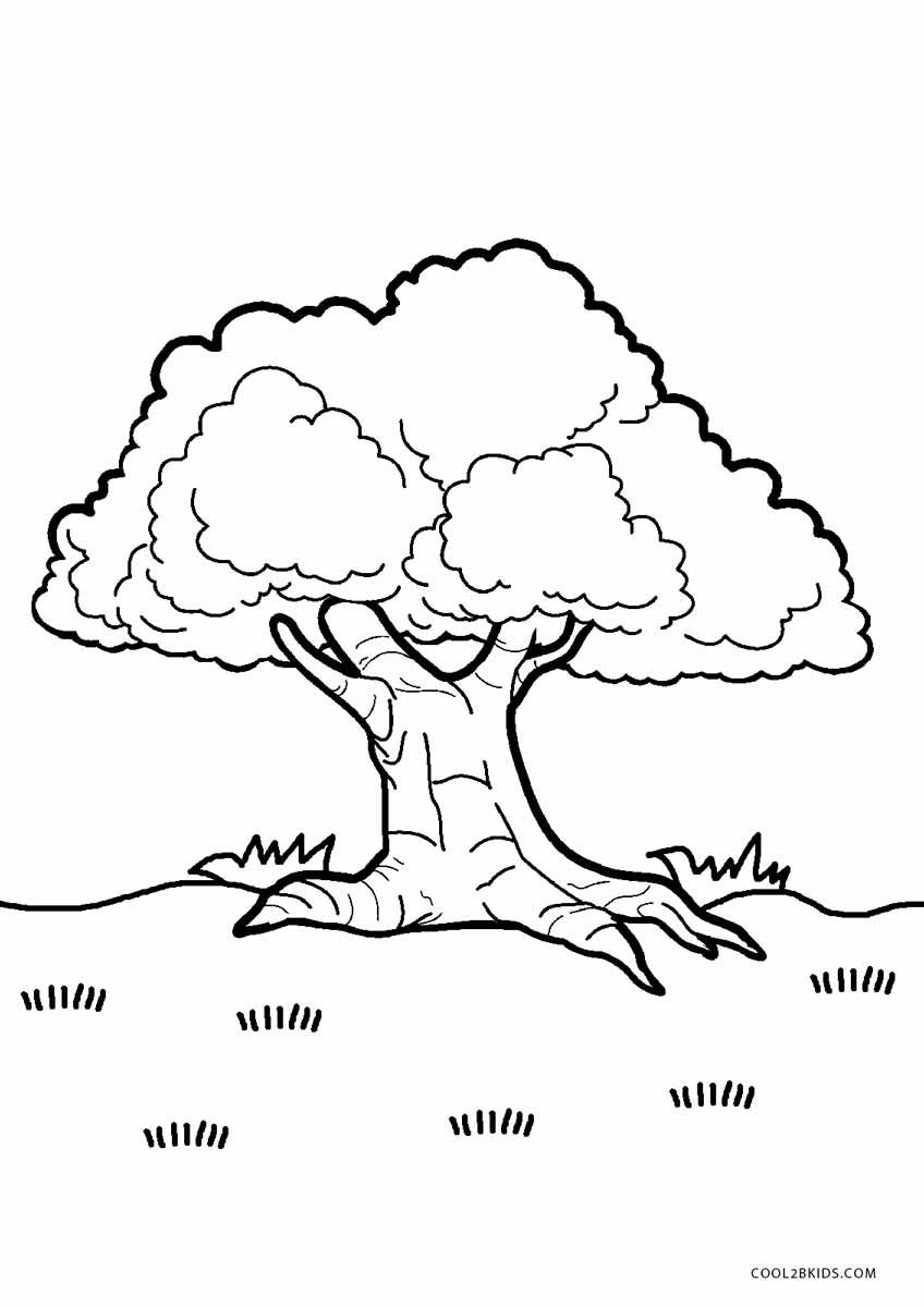 160 Tree Coloring Pages: Explore Nature's Palette 62