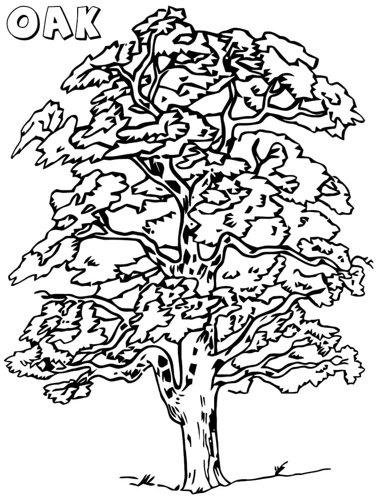 160 Tree Coloring Pages: Explore Nature's Palette 63