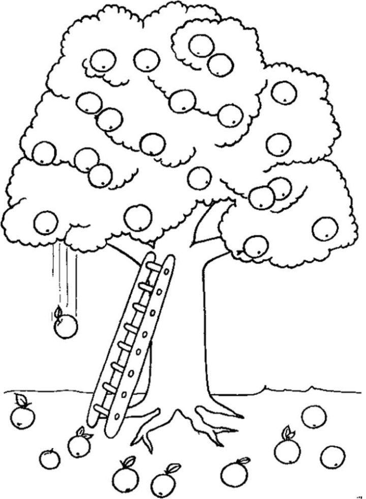 160 Tree Coloring Pages: Explore Nature's Palette 71