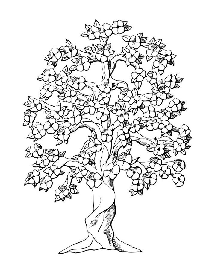 160 Tree Coloring Pages: Explore Nature's Palette 79