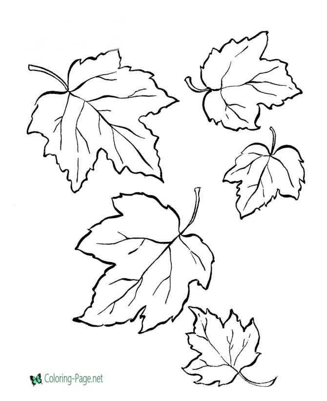 160 Tree Coloring Pages: Explore Nature's Palette 84