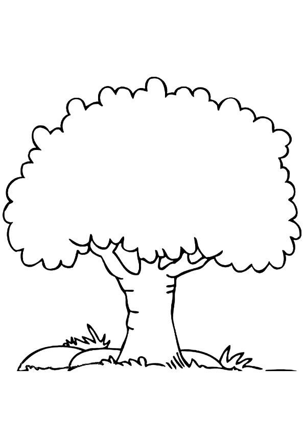 160 Tree Coloring Pages: Explore Nature's Palette 89