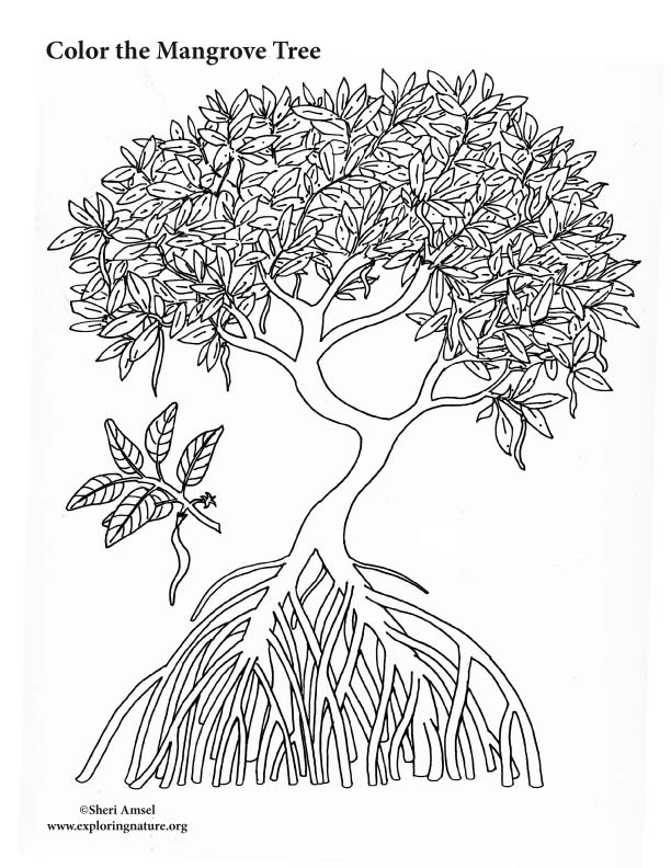 160 Tree Coloring Pages: Explore Nature's Palette 94