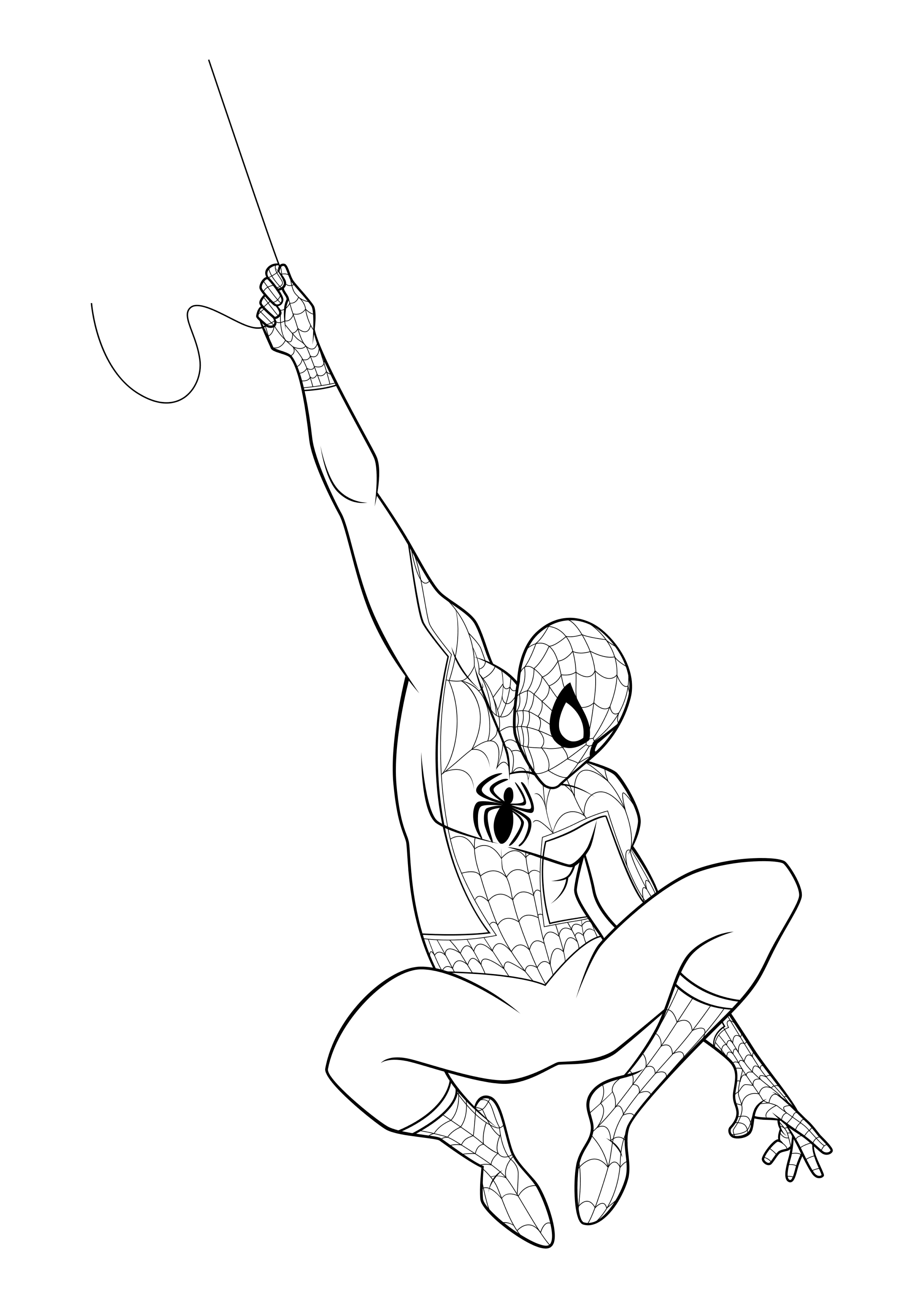 170+ Spider Coloring Pages Free Printable 1