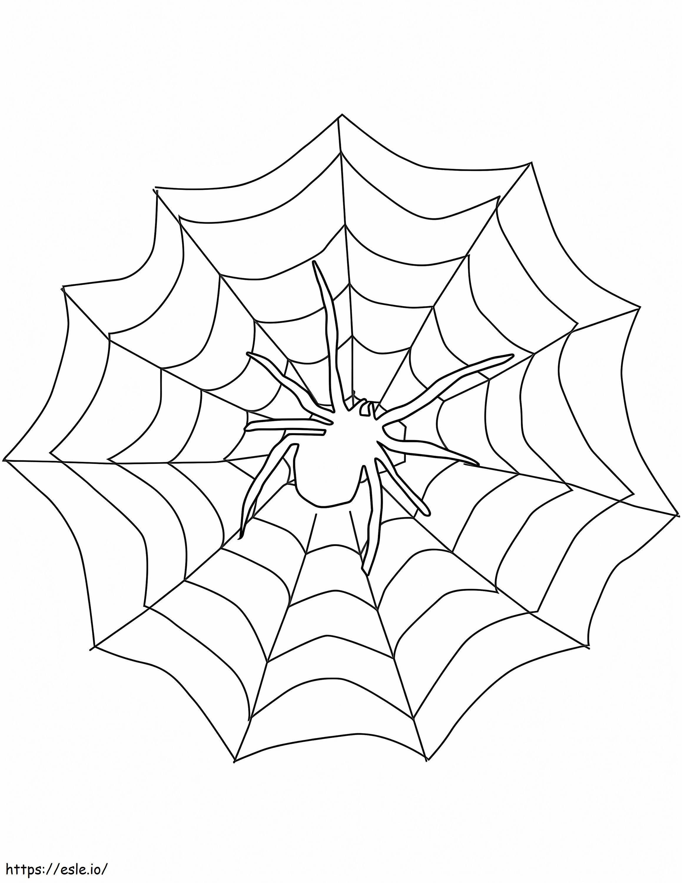 170+ Spider Coloring Pages Free Printable 10