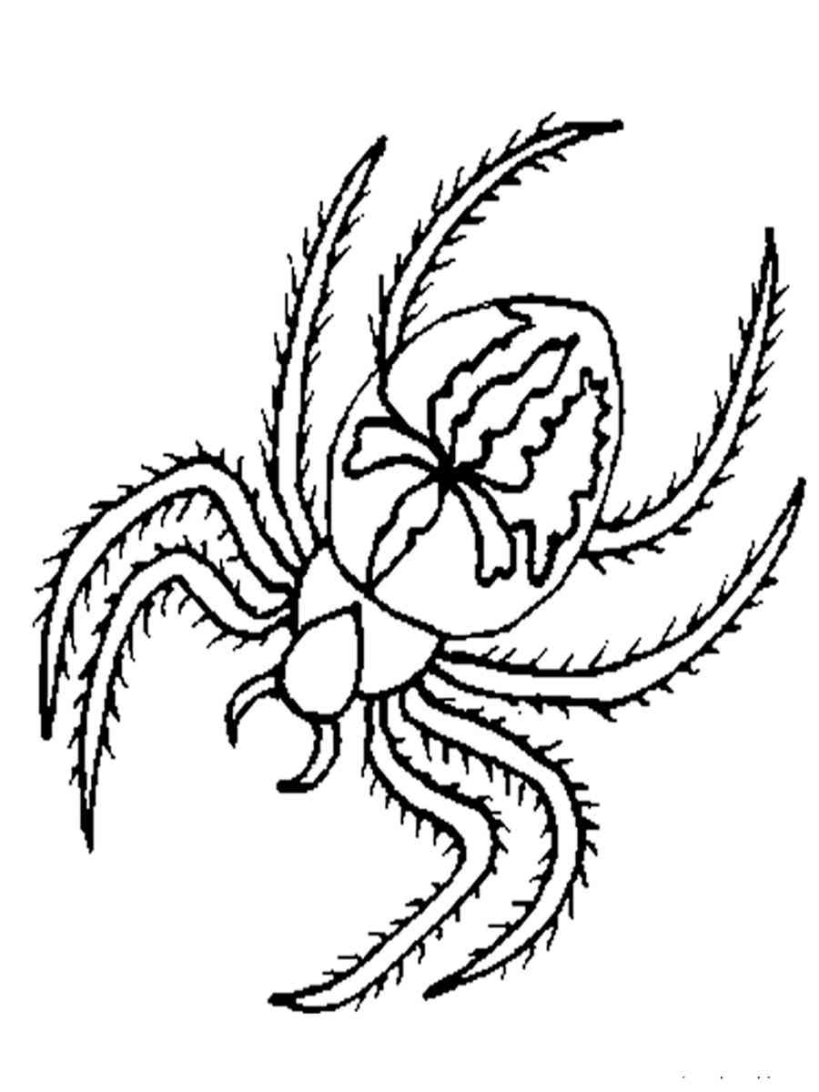 170+ Spider Coloring Pages Free Printable 106