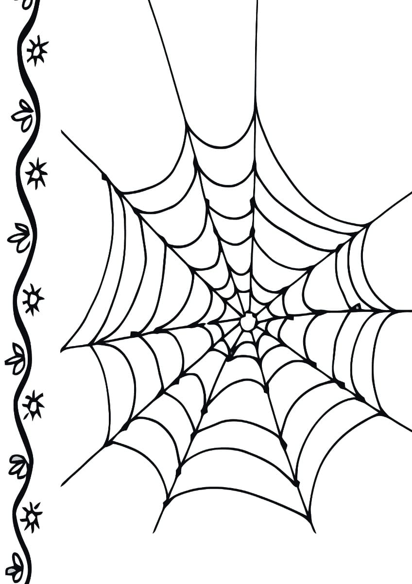 170+ Spider Coloring Pages Free Printable 110