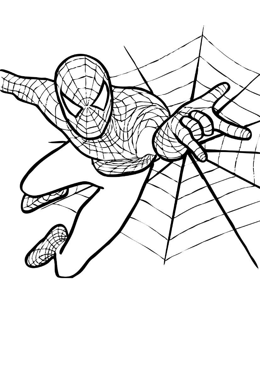 170+ Spider Coloring Pages Free Printable 112