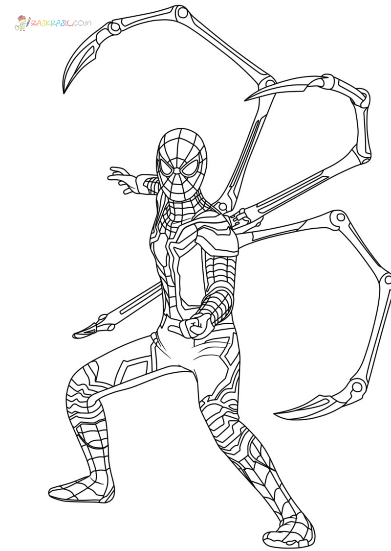 170+ Spider Coloring Pages Free Printable 118