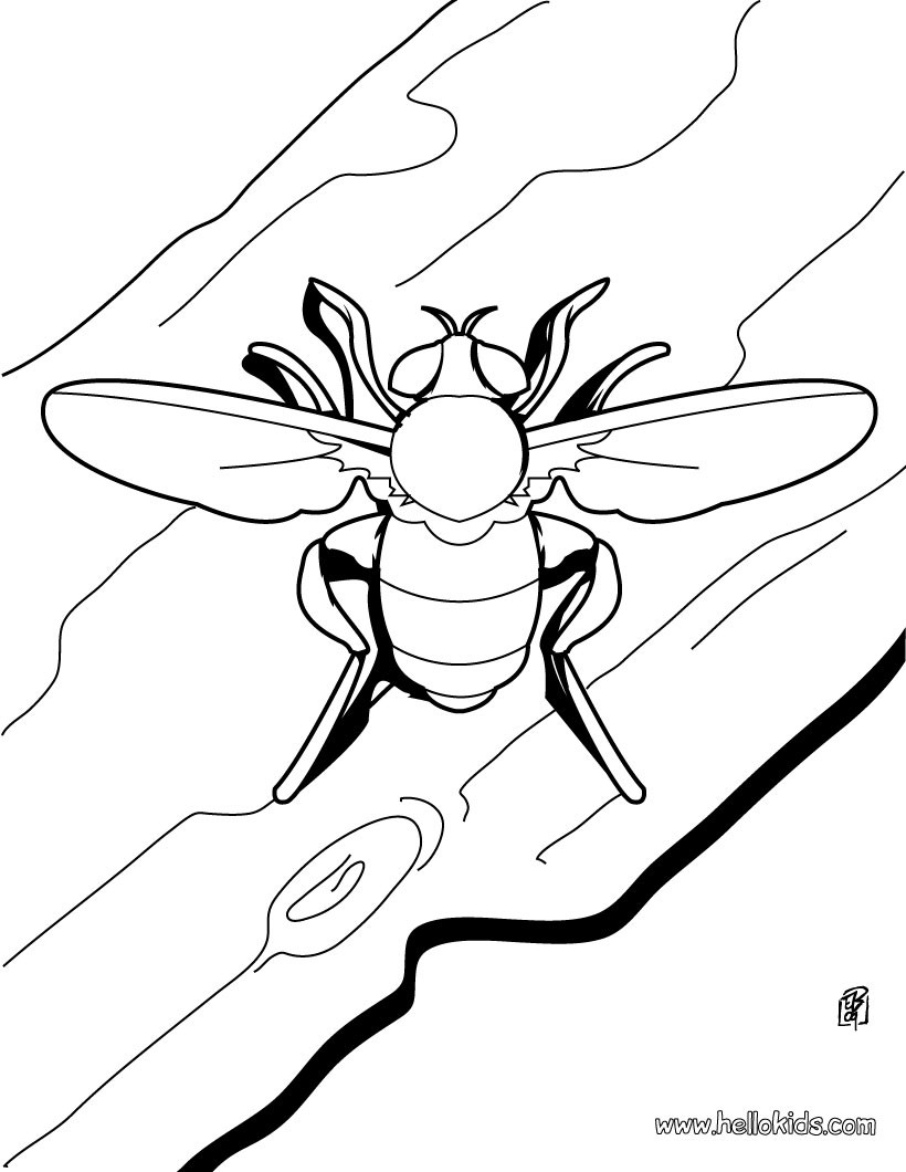 170+ Spider Coloring Pages Free Printable 125