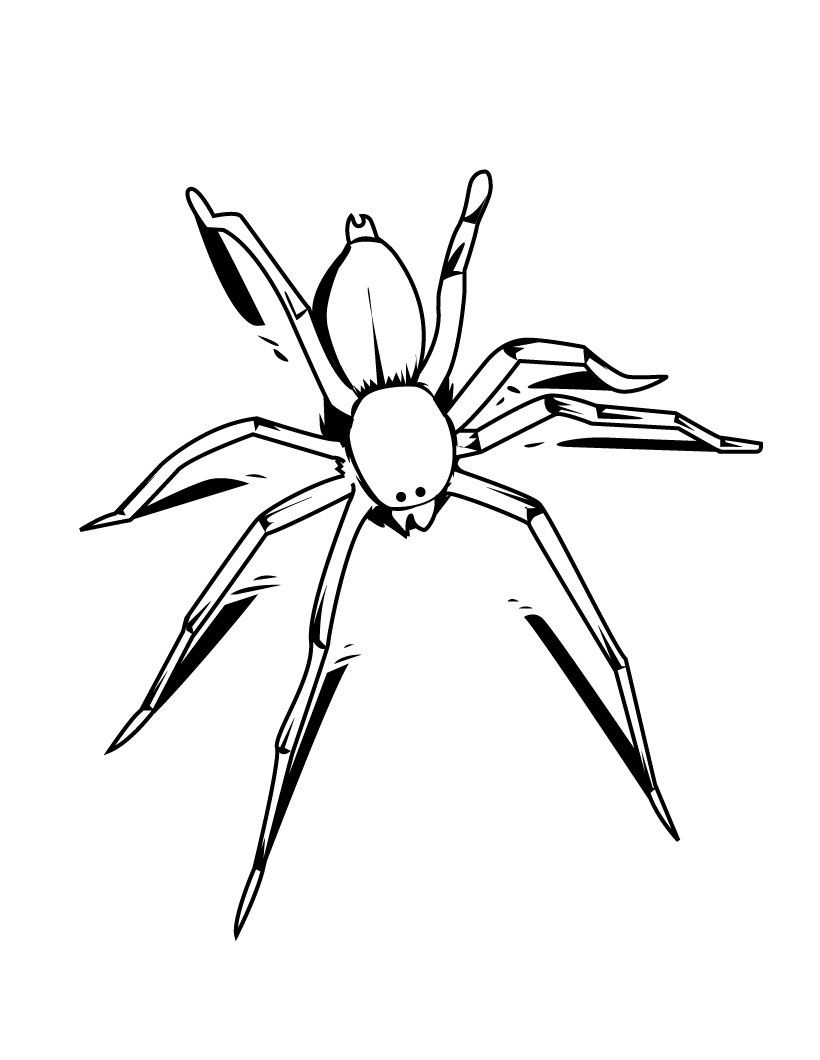 170+ Spider Coloring Pages Free Printable 126