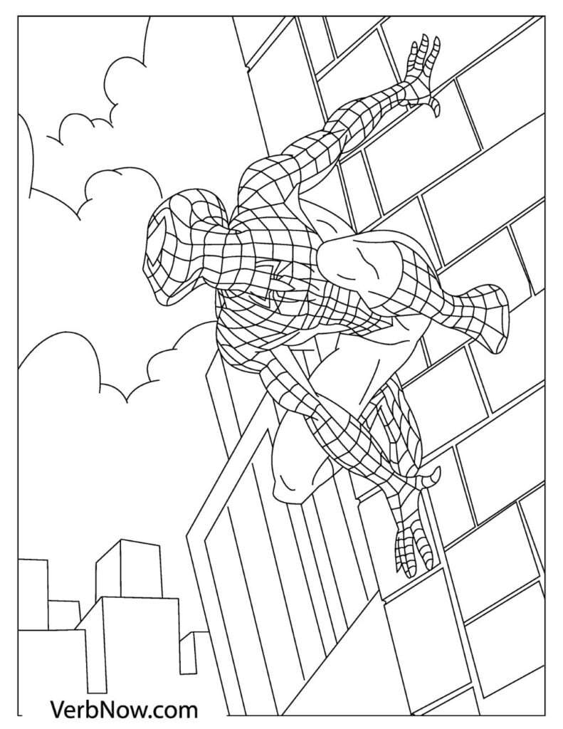 170+ Spider Coloring Pages Free Printable 134