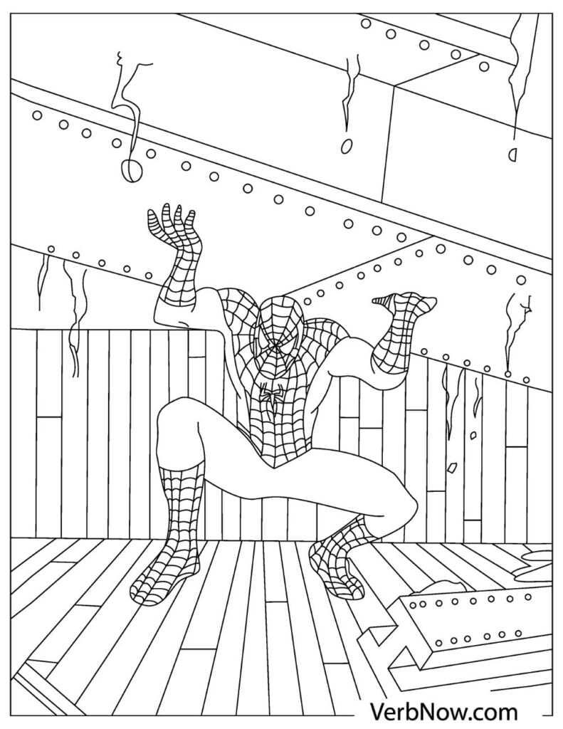 170+ Spider Coloring Pages Free Printable 135