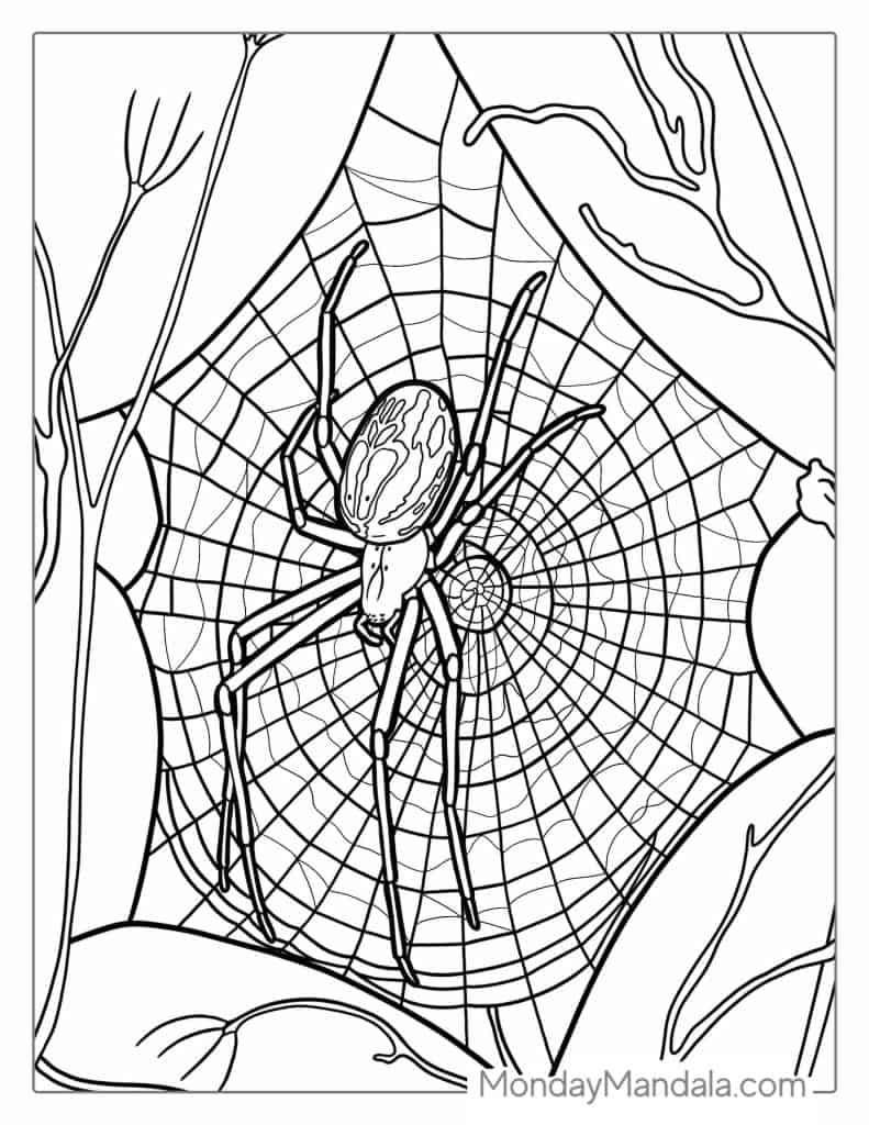 170+ Spider Coloring Pages Free Printable 141