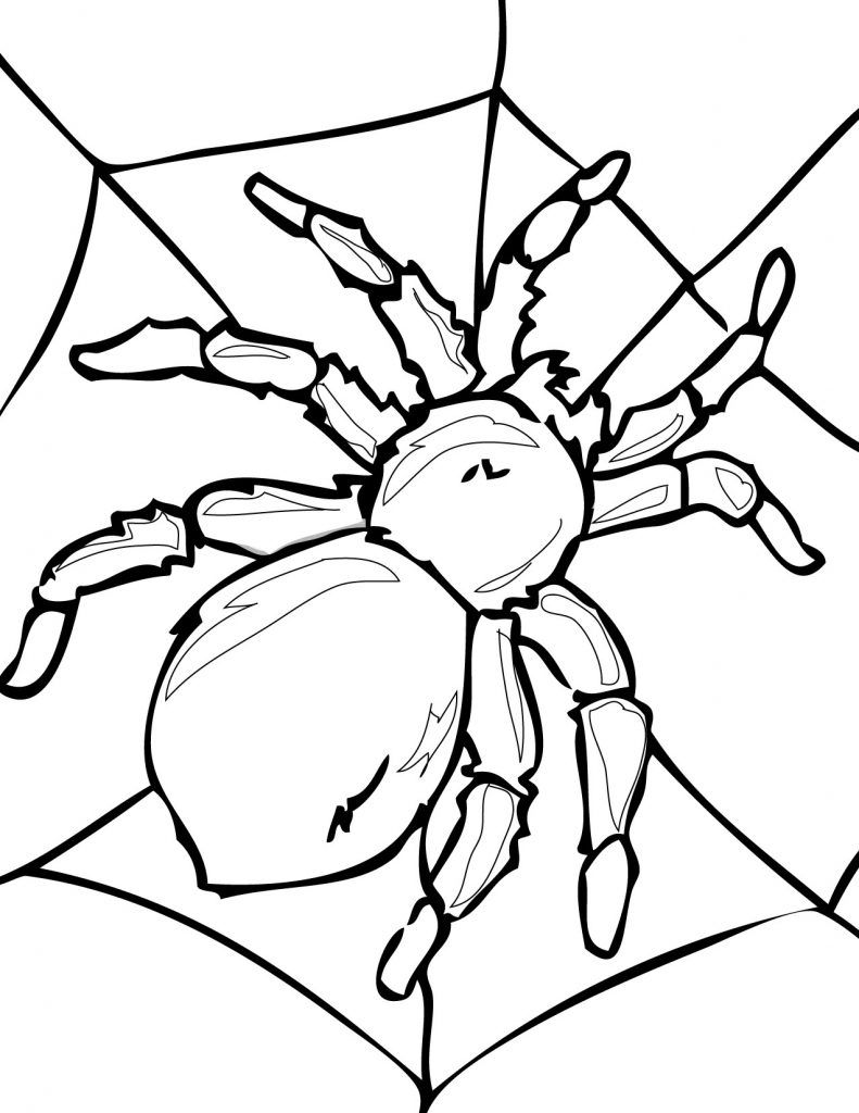 170+ Spider Coloring Pages Free Printable 143