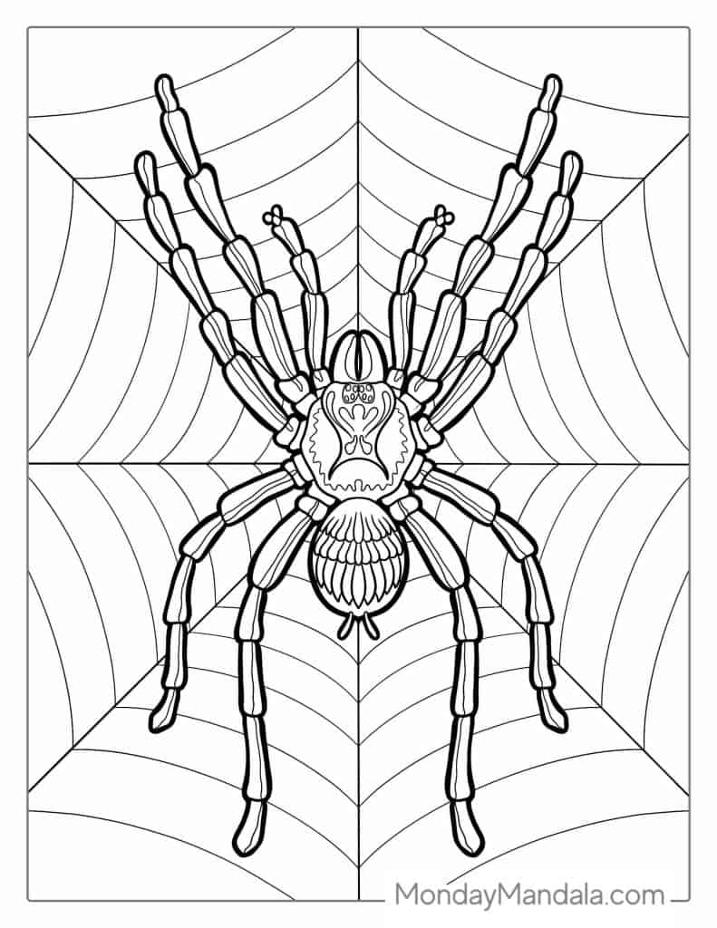 170+ Spider Coloring Pages Free Printable 145