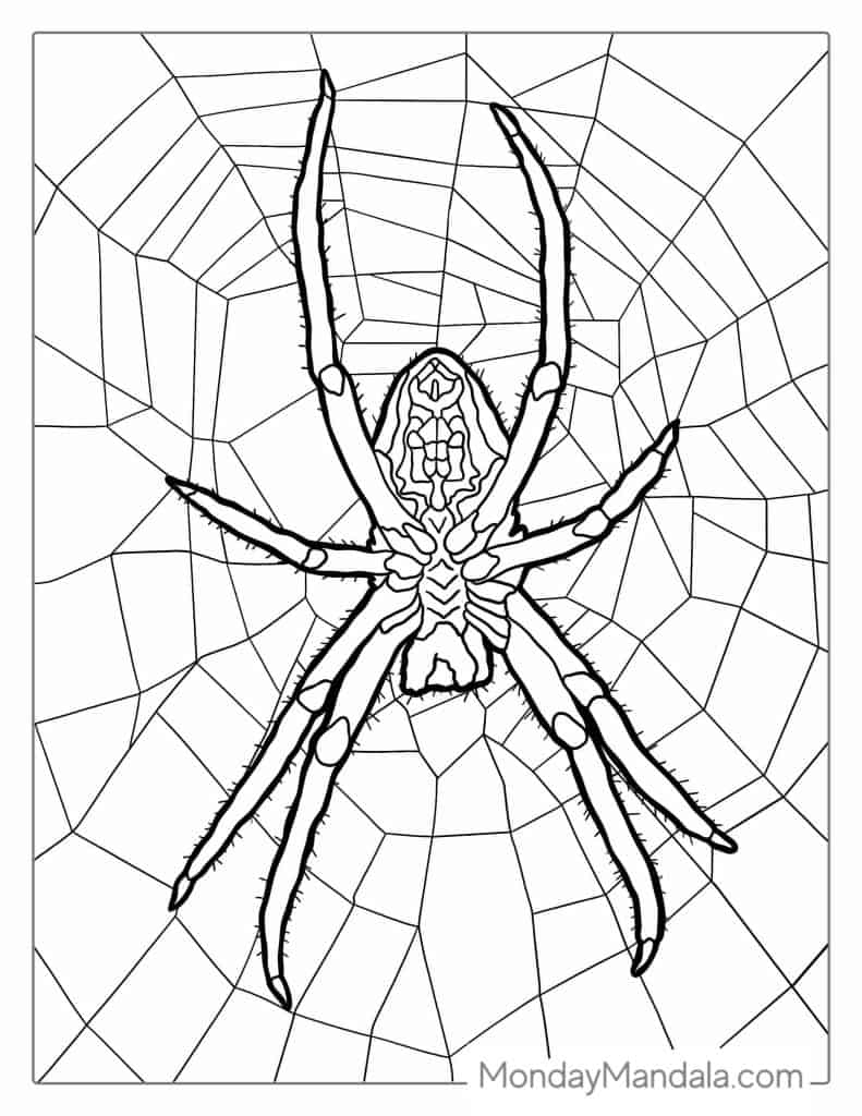 170+ Spider Coloring Pages Free Printable 148