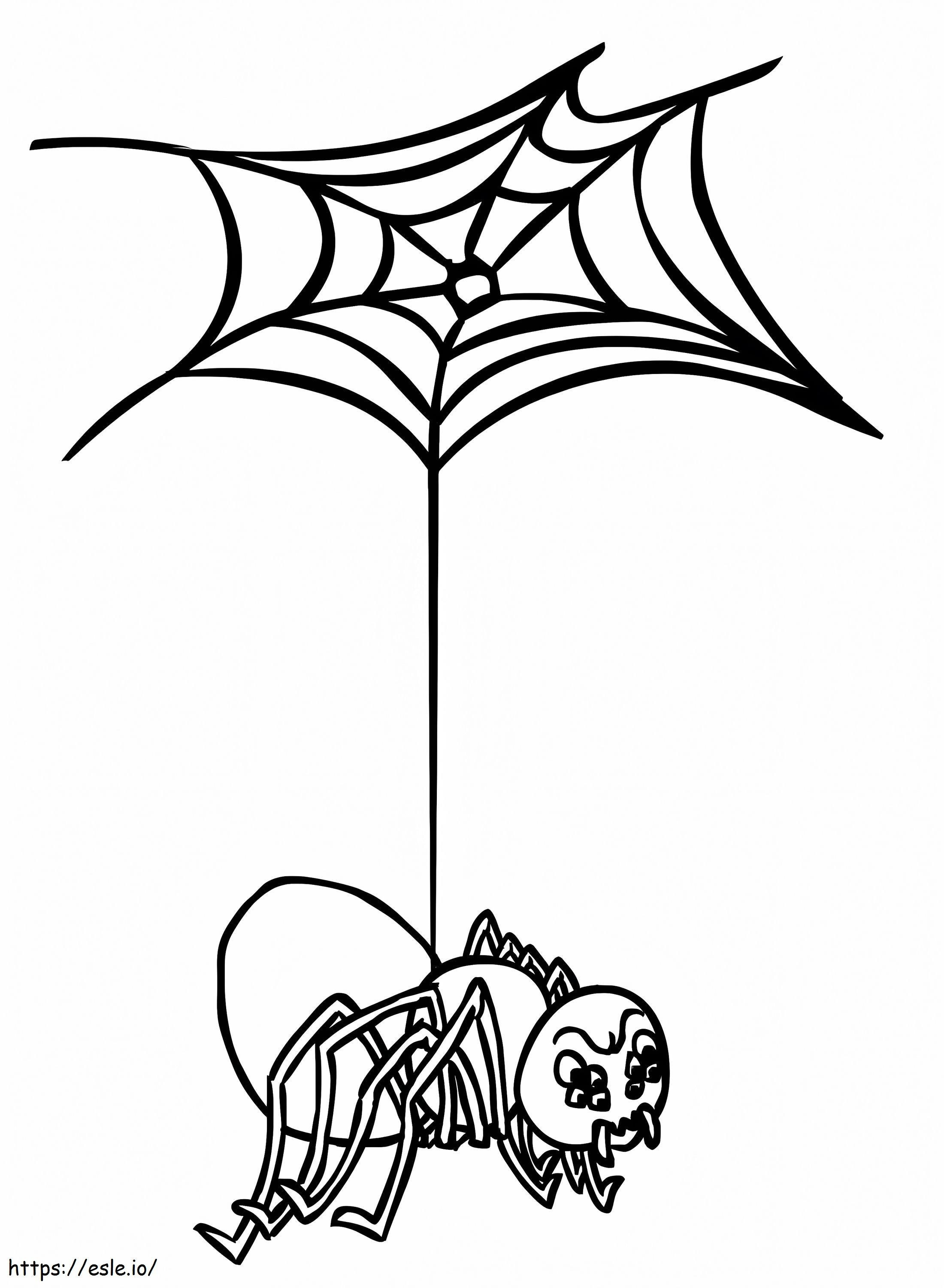 170+ Spider Coloring Pages Free Printable 15