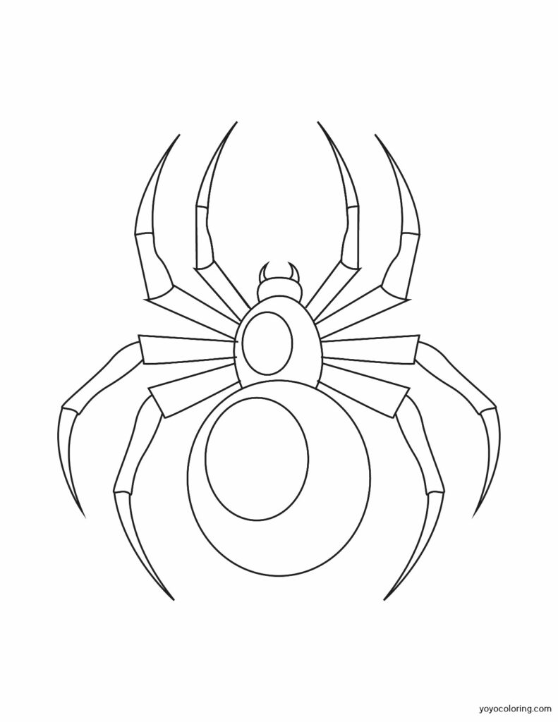 170+ Spider Coloring Pages Free Printable 156