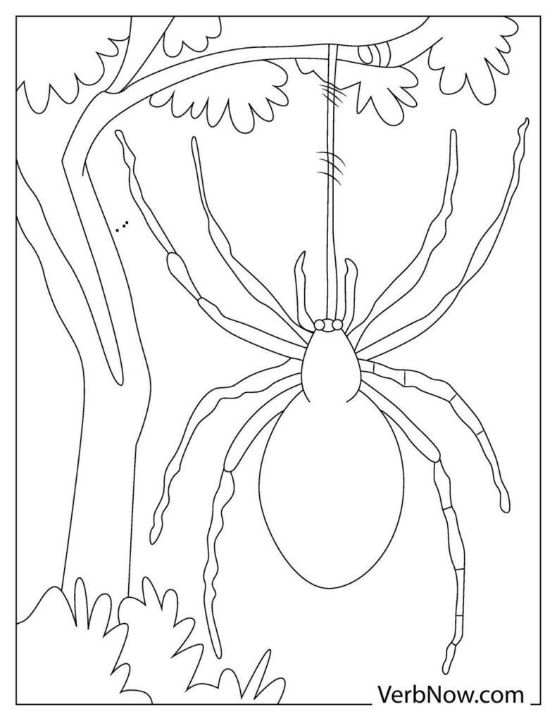 170+ Spider Coloring Pages Free Printable 157