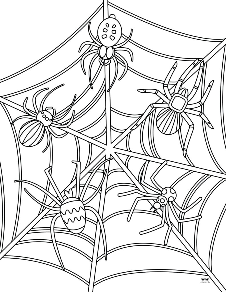 170+ Spider Coloring Pages Free Printable 158