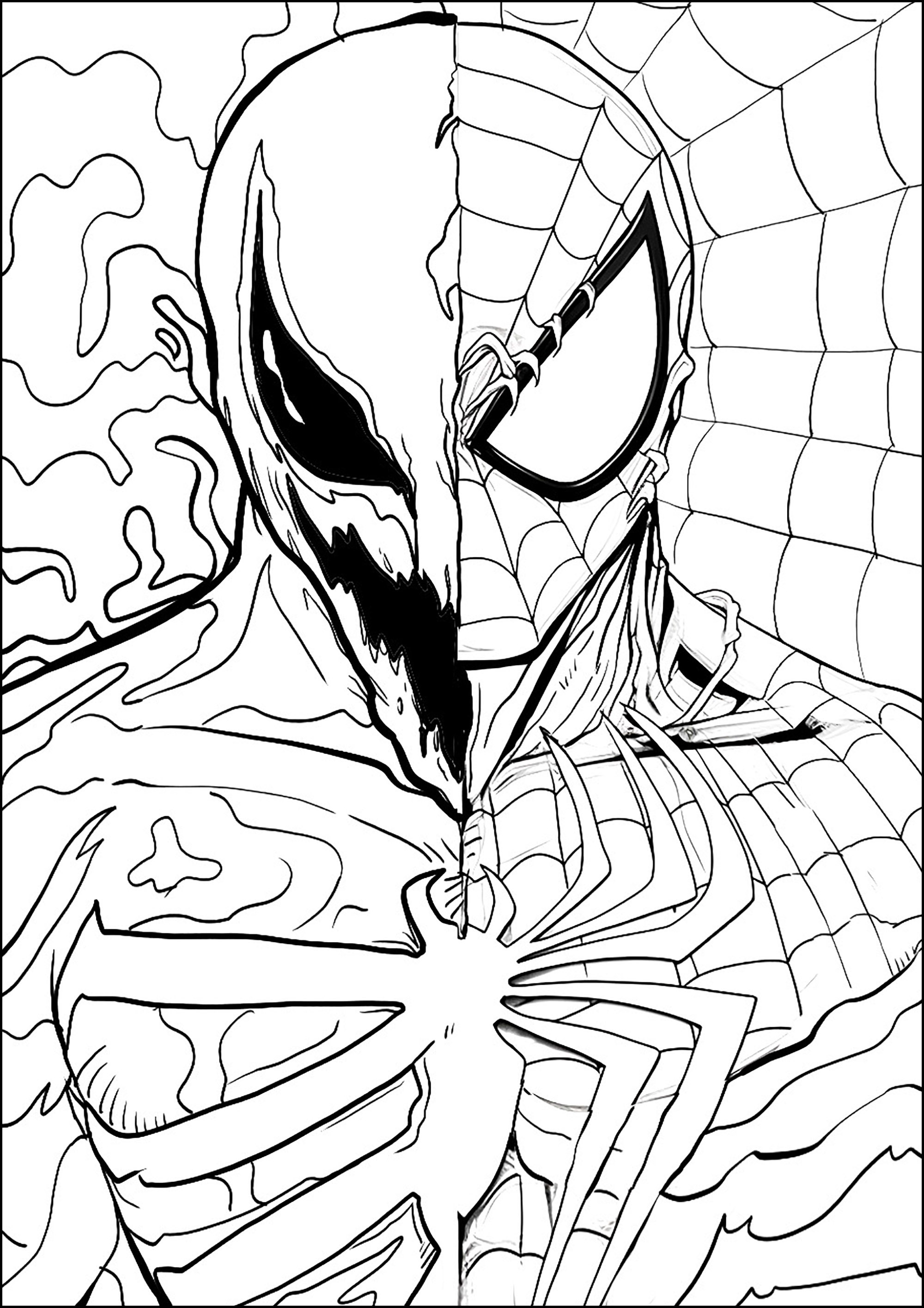 170+ Spider Coloring Pages Free Printable 17