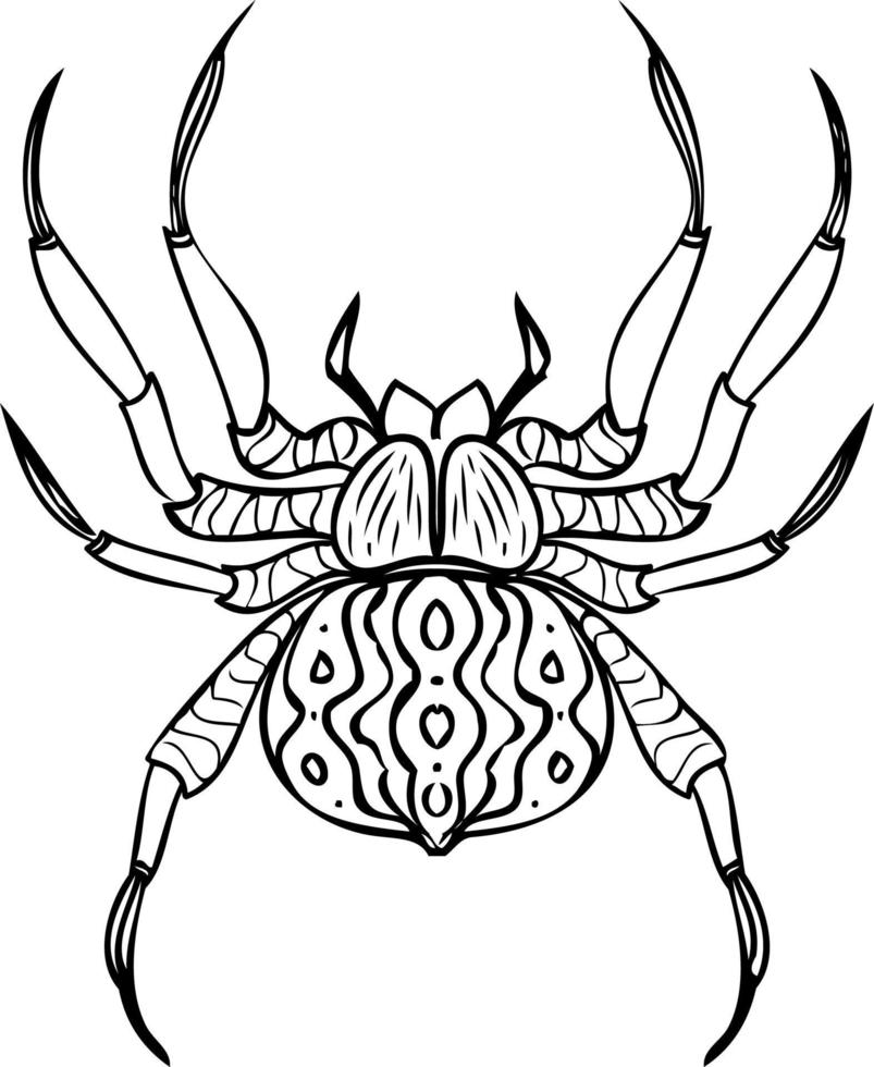 170+ Spider Coloring Pages Free Printable 176