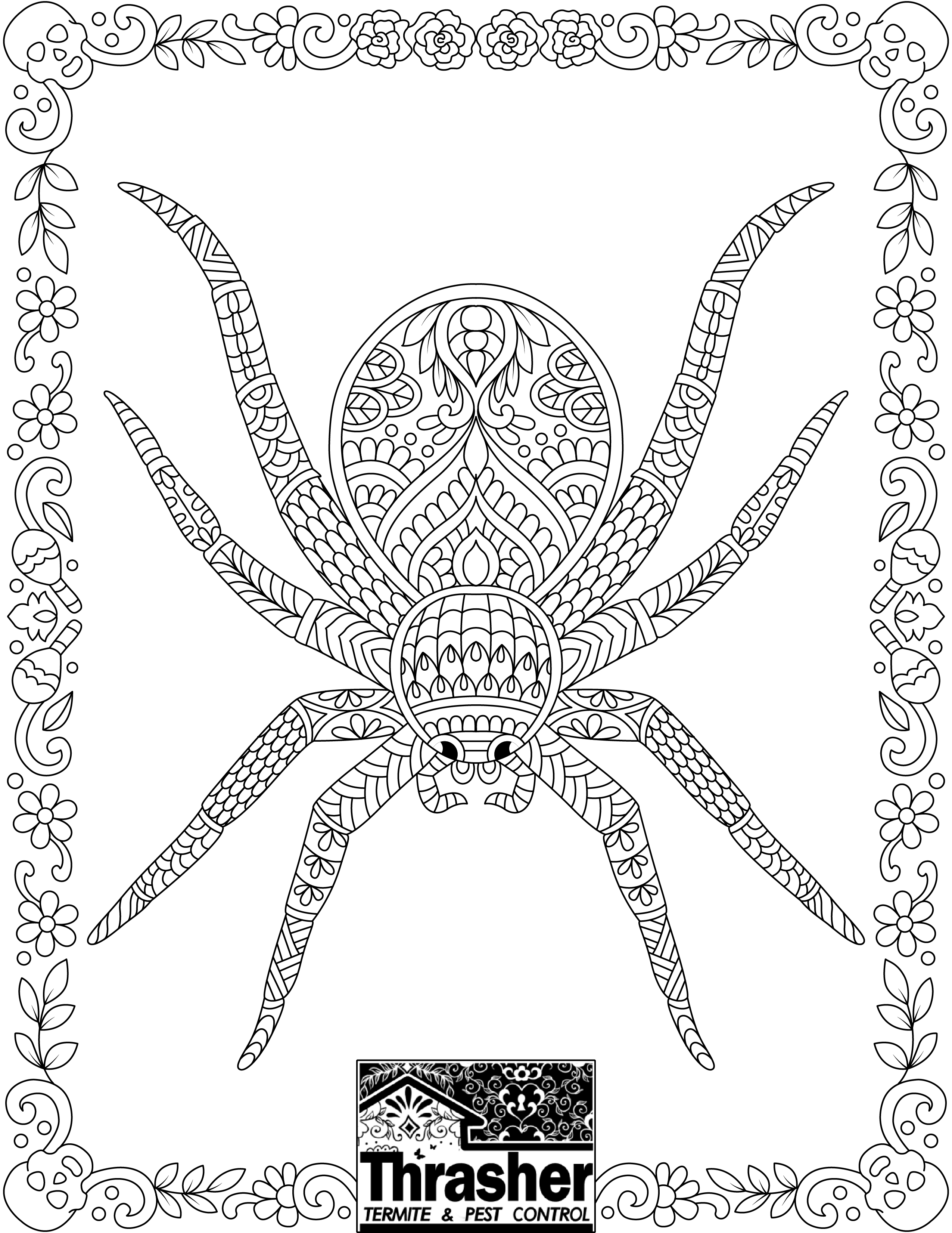 170+ Spider Coloring Pages Free Printable 3