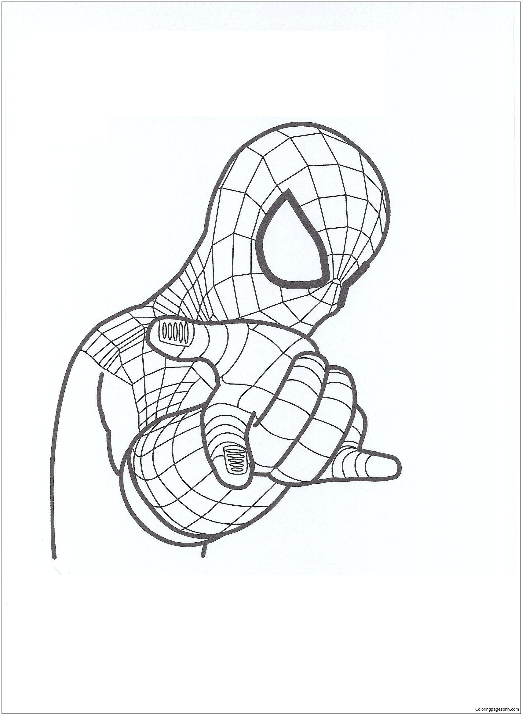 170+ Spider Coloring Pages Free Printable 31