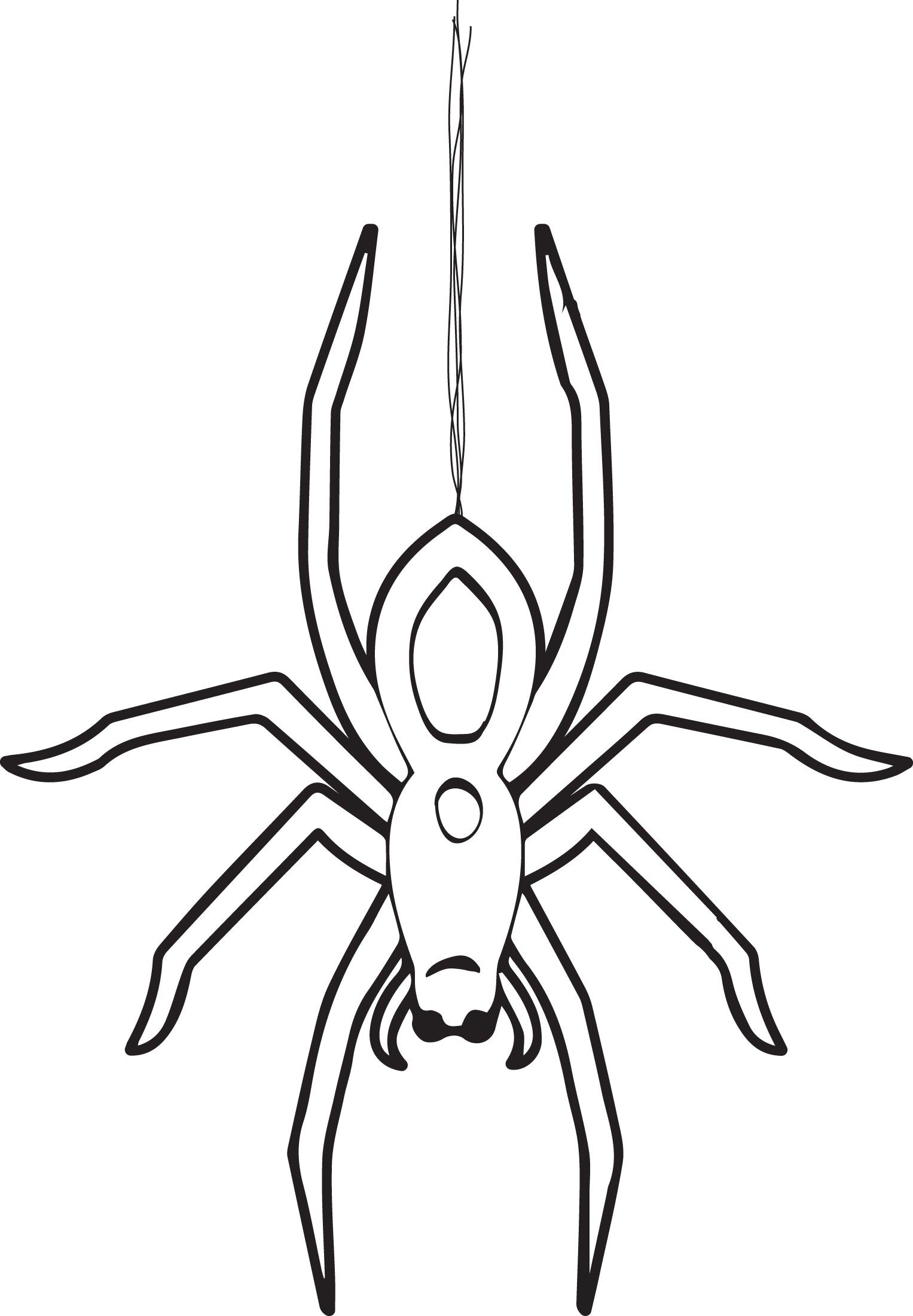 170+ Spider Coloring Pages Free Printable 35