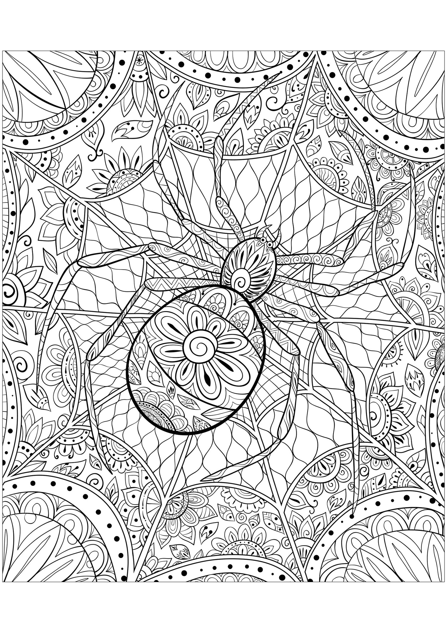 170+ Spider Coloring Pages Free Printable 37