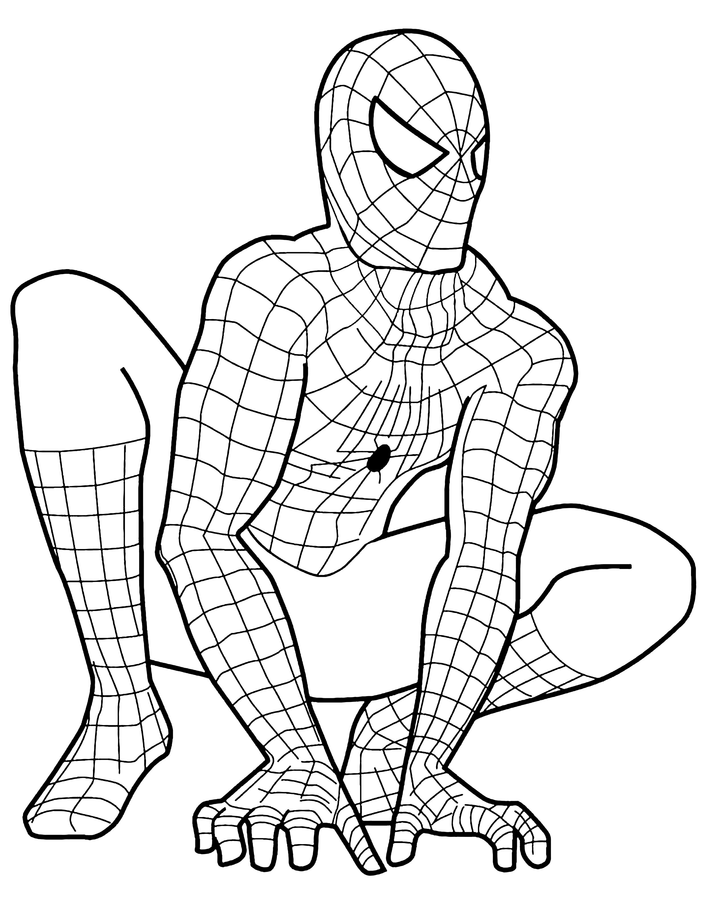 170+ Spider Coloring Pages Free Printable 4