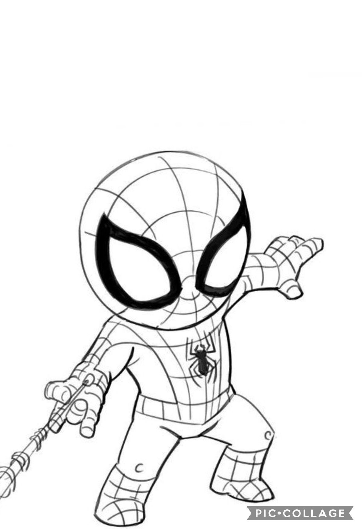 170+ Spider Coloring Pages Free Printable 52