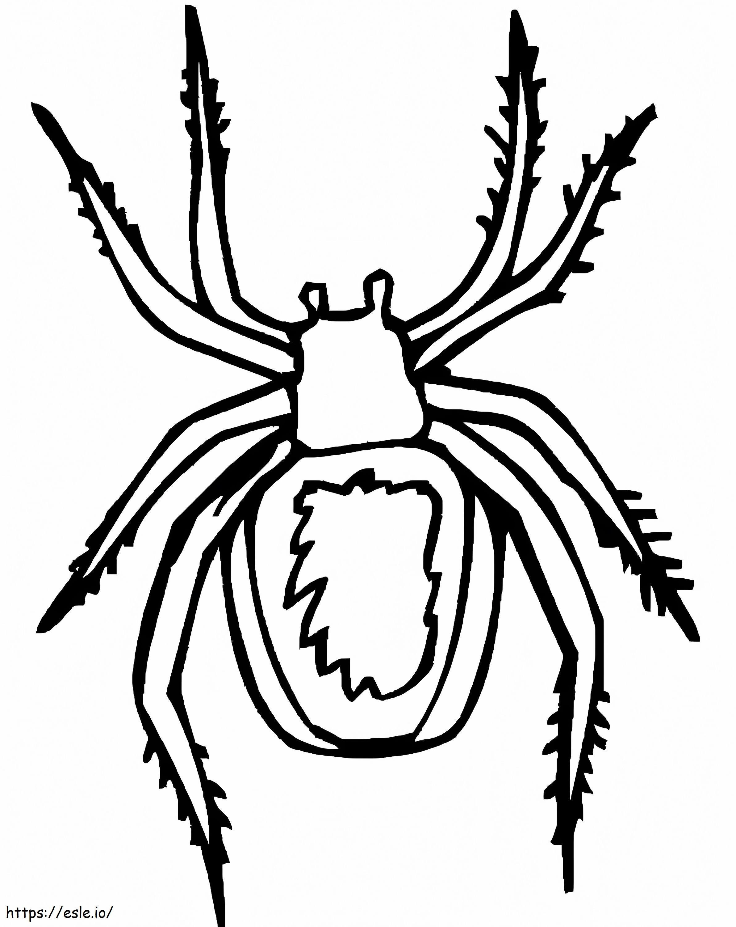 170+ Spider Coloring Pages Free Printable 6