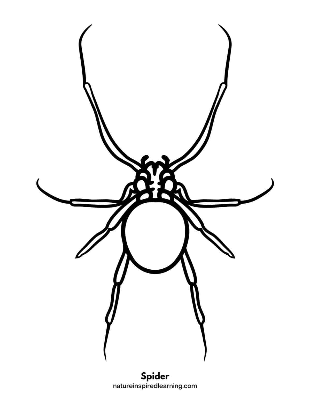 170+ Spider Coloring Pages Free Printable 60