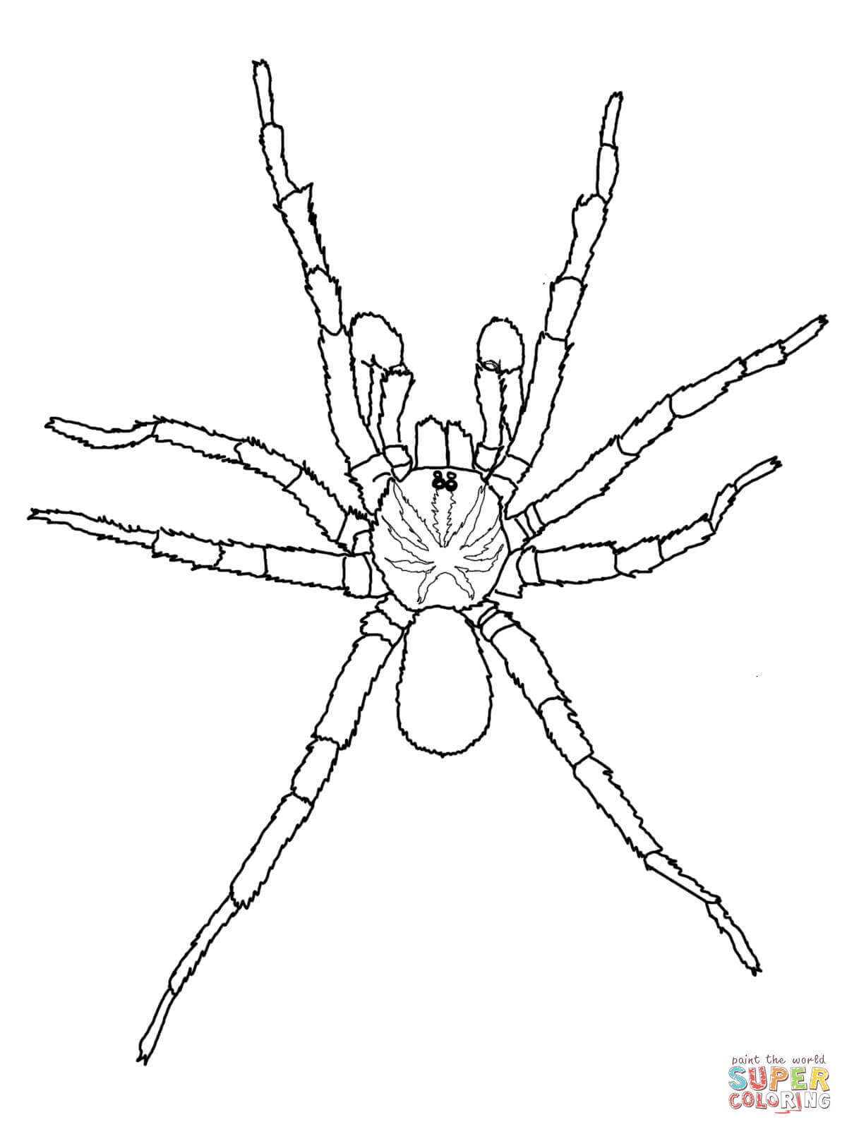 170+ Spider Coloring Pages Free Printable 61