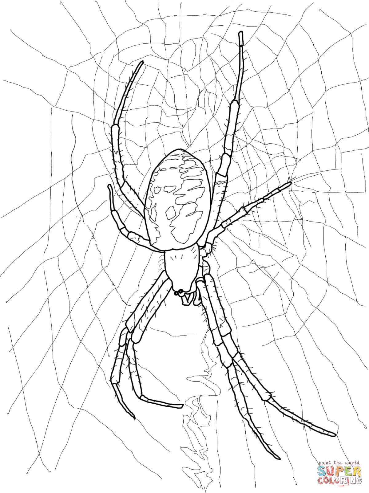 170+ Spider Coloring Pages Free Printable 62