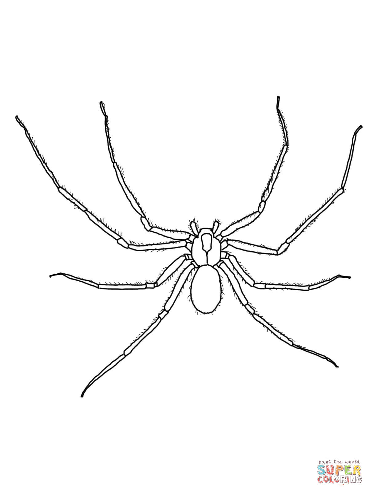 170+ Spider Coloring Pages Free Printable 63