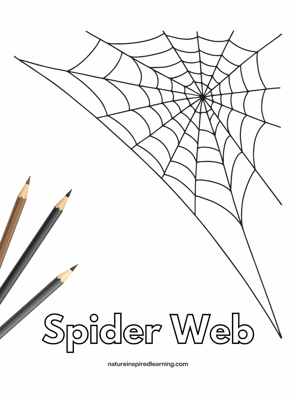 170+ Spider Coloring Pages Free Printable 64