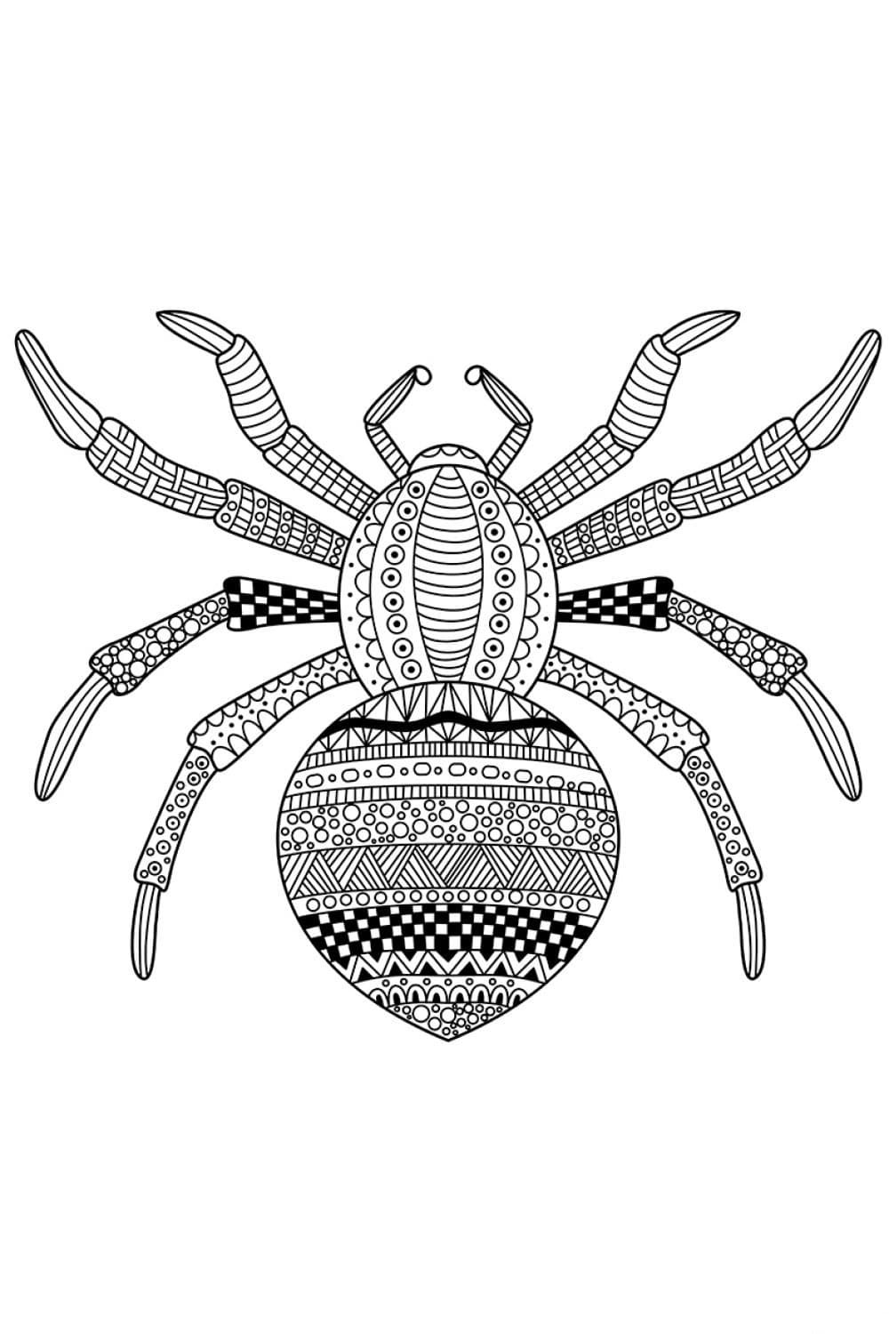 170+ Spider Coloring Pages Free Printable 79