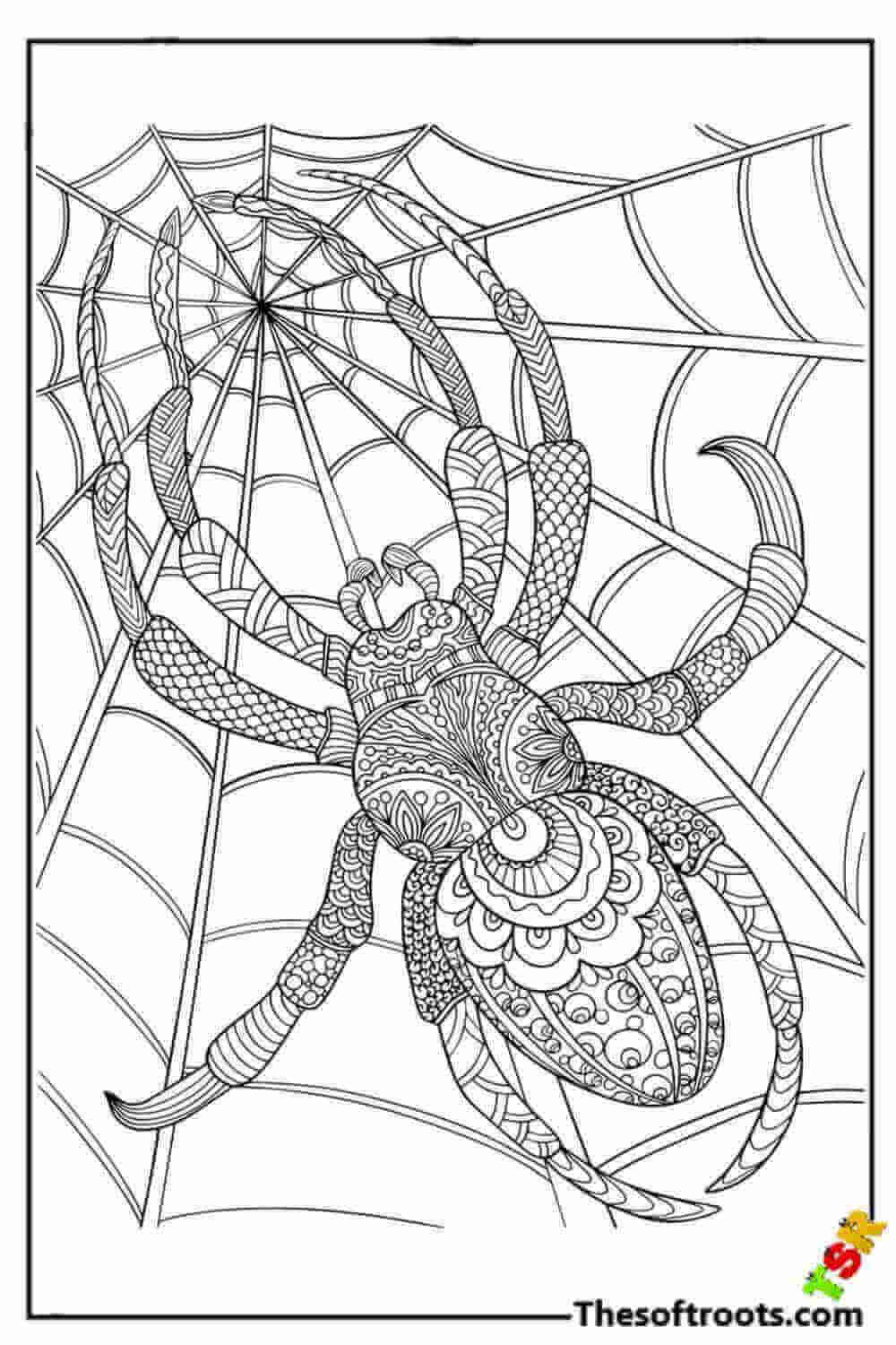 170+ Spider Coloring Pages Free Printable 80