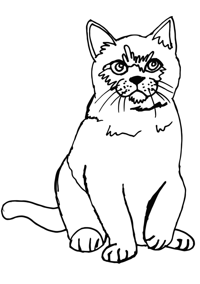 200+ Kitty Coloring Pages: Purr-fectly Adorable Fun 32