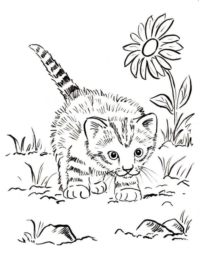 200+ Kitty Coloring Pages: Purr-fectly Adorable Fun 74