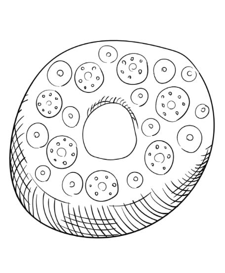 80+ Donut Coloring Pages: Sweet and Fun Designs 64