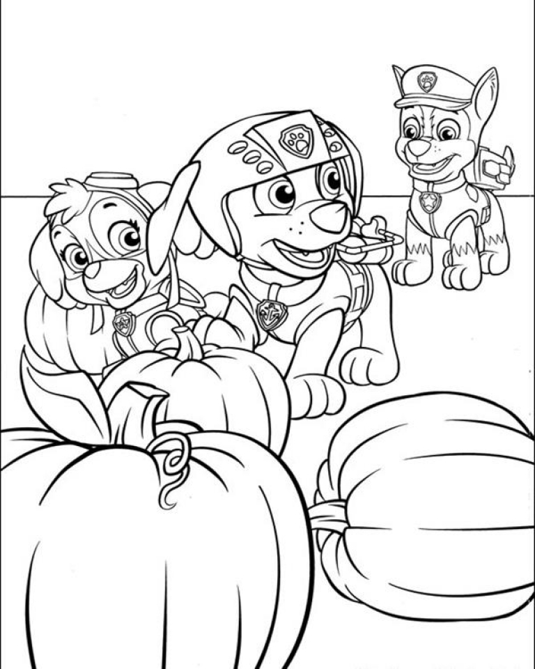 Paw Patrol Coloring Page Ideas: 100 Fun and Creative Designs for Kids 35