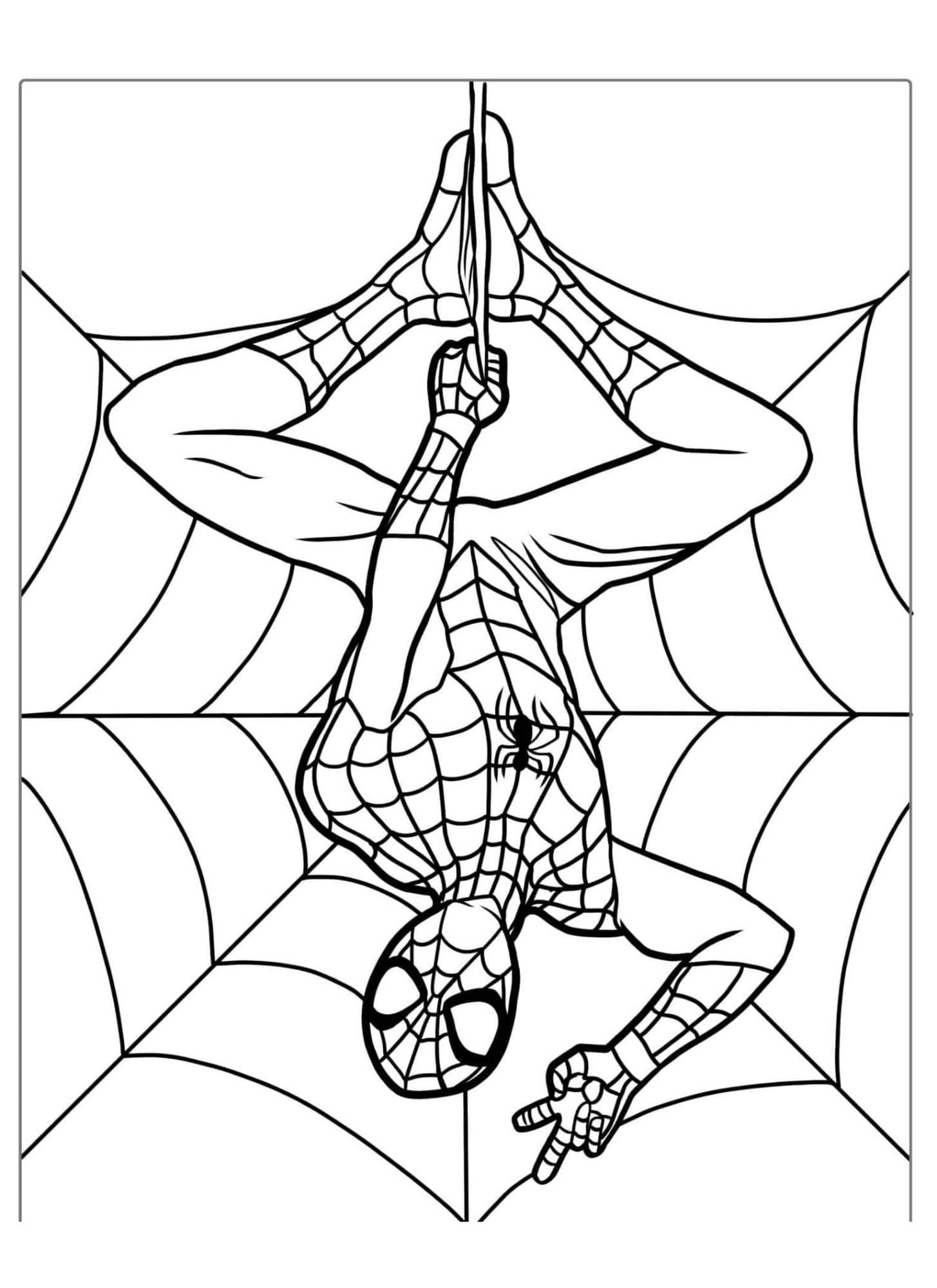 110+ Spidey and His Amazing Friends Coloring Pages for Marvel Fans 42