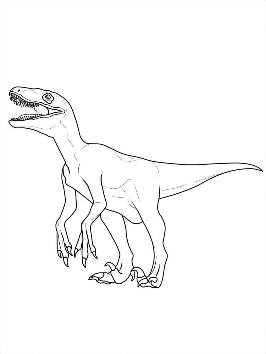 163 Jurassic Park Coloring Pages Dinosaurs Printable 89