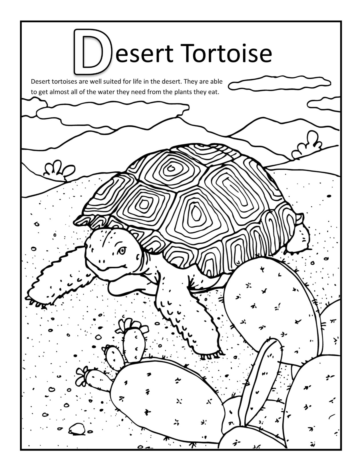 175+ Desert Landscape Coloring Pages Printable 105